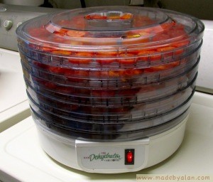 dehydrating tomatoes