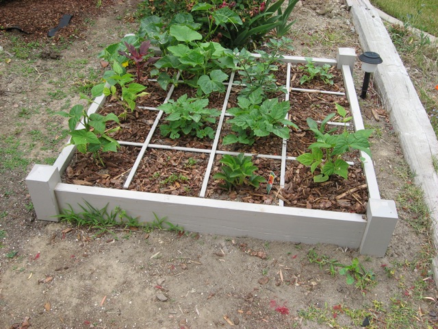 How to Build a Square Foot Garden Frame